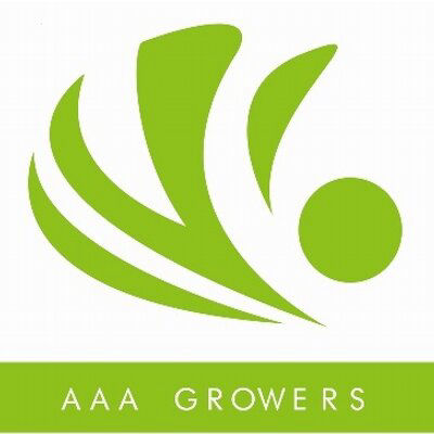 aaa
